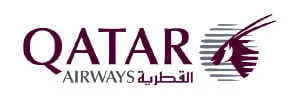 QR Logo